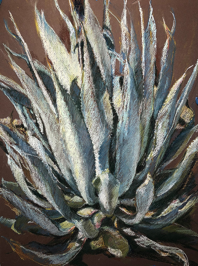 Blue Agave