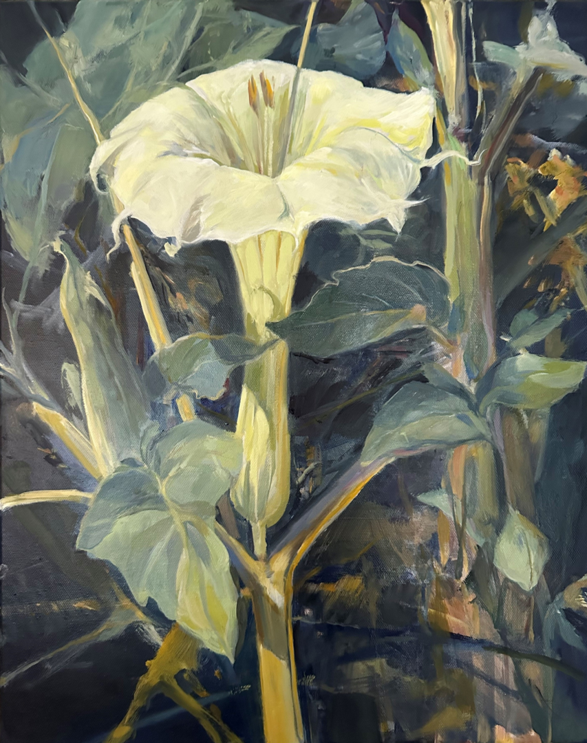 Datura Poison Flower