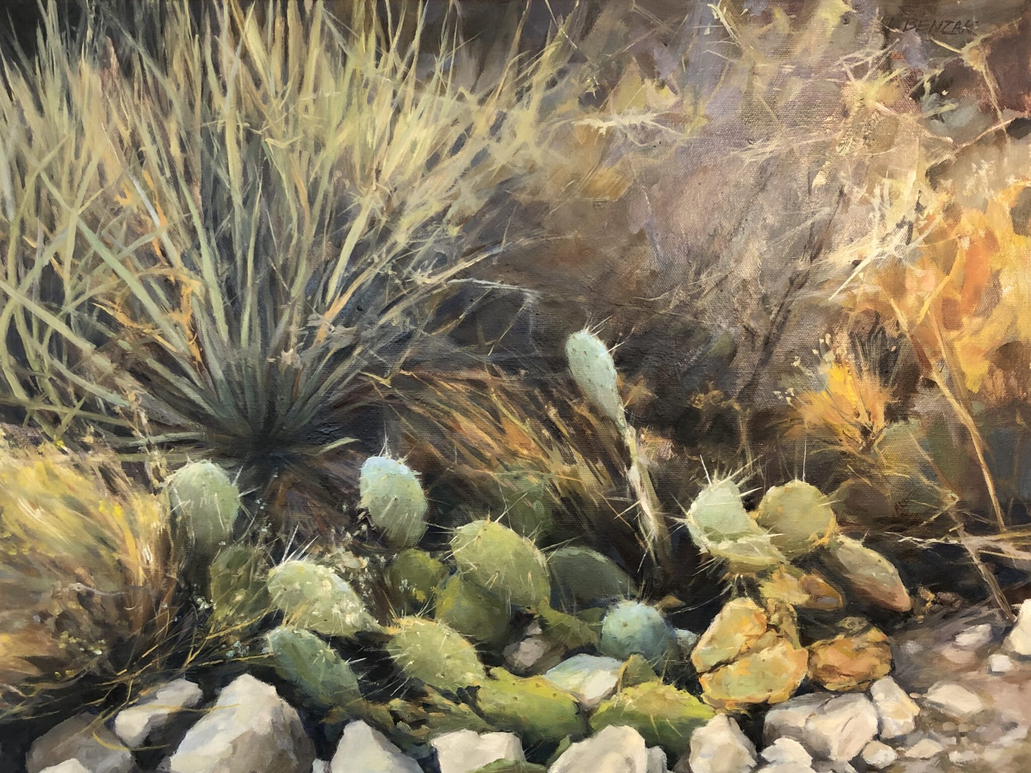 Desert Fruit - Ilona Benzak Art