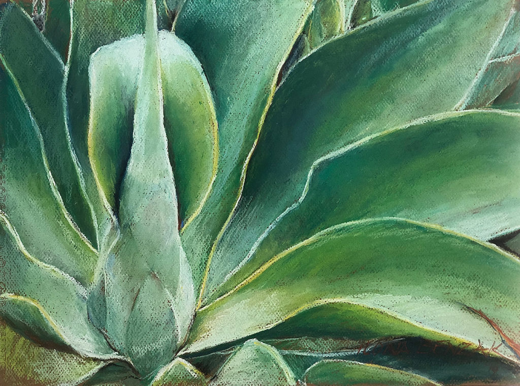 Green Agave
